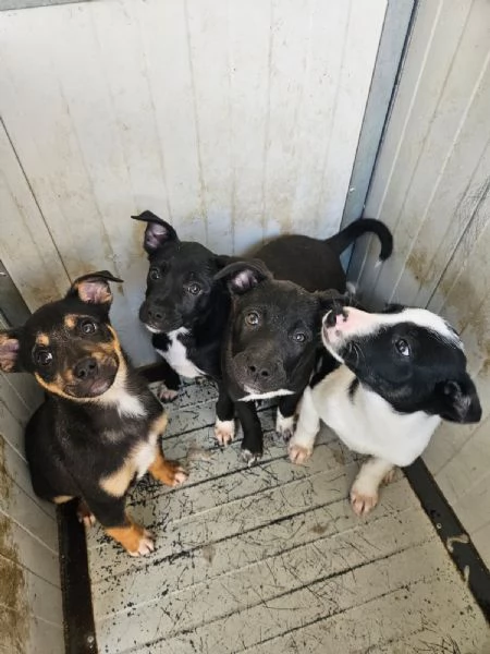 Stromboli: 3 mesi taglia contenuta  | Foto 6