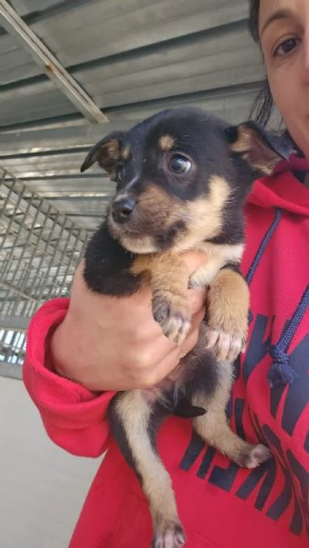 Stromboli: 2 mesi taglia contenuta  | Foto 4