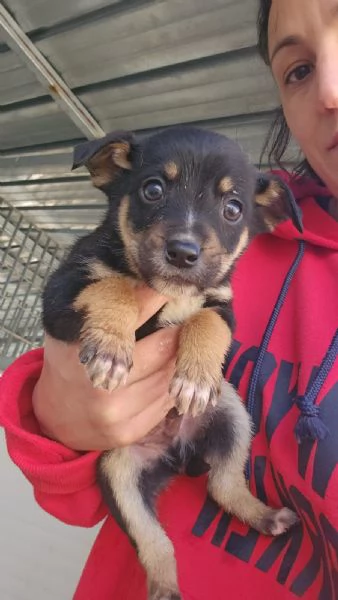 Stromboli: 2 mesi taglia contenuta  | Foto 2