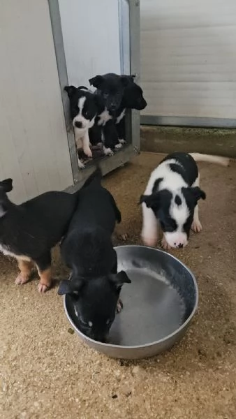 Stromboli: 2 mesi taglia contenuta  | Foto 1
