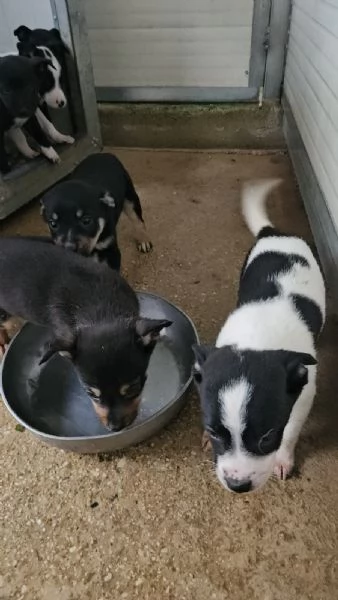 Stromboli: 2 mesi taglia contenuta  | Foto 0