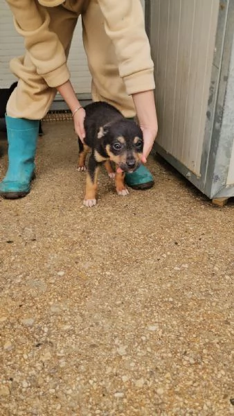 Stromboli: 3 mesi taglia contenuta  | Foto 3