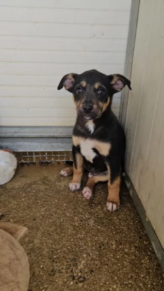 Stromboli: 3 mesi taglia contenuta  | Foto 1