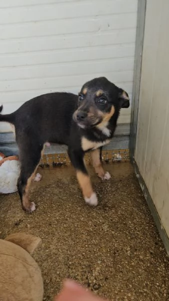 Stromboli: 3 mesi taglia contenuta  | Foto 0
