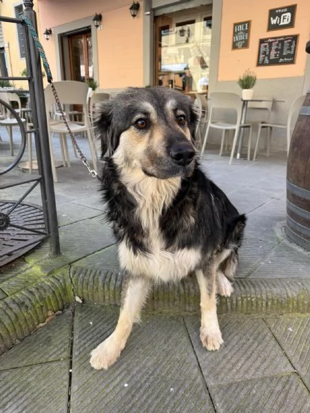 Cora: non la vogliono pi&ugrave;. Urgente  | Foto 4