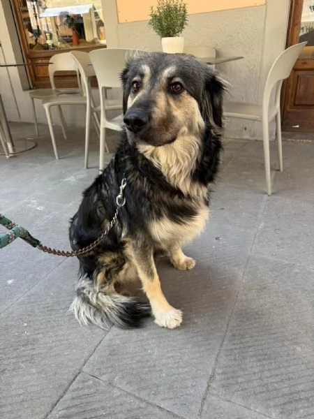 Cora: non la vogliono pi&ugrave;. Urgente  | Foto 3