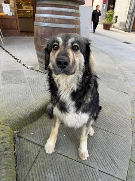 Cora: non la vogliono pi&ugrave;. Urgente  | Foto 2