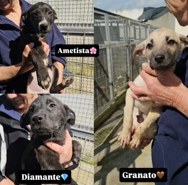 Maschietti e femminuccia 3 mesi taglia media