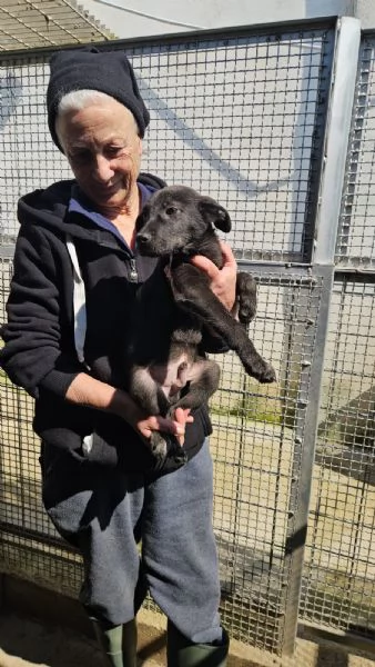 Maschietti e femminuccia 3 mesi taglia media | Foto 2