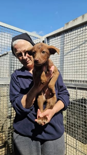 Giada: 3 mesi taglia contenuta 