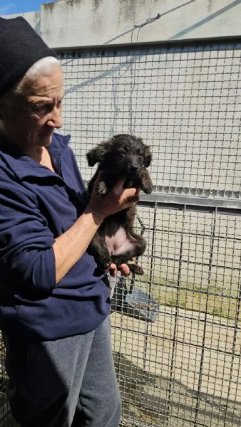 Topazia: 3 mesi taglia contenuta 