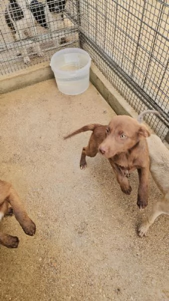 Giada: 4 mesi taglia contenuta 