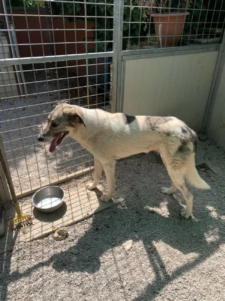 Maya: bellissima principessa taglia grande  | Foto 4