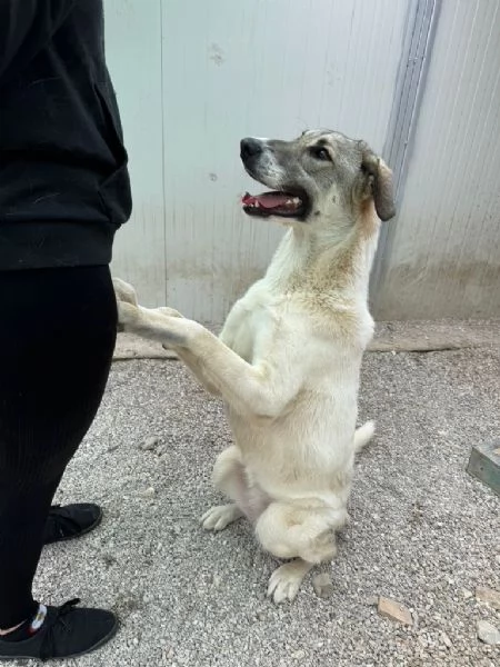 Maya: bellissima principessa taglia grande  | Foto 2