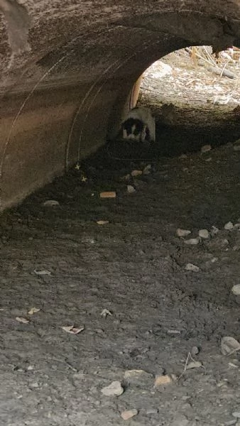Luisa: 2 mesi taglia comtenuta | Foto 6