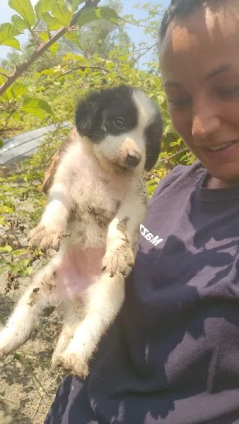 Luisa: 2 mesi taglia comtenuta | Foto 5