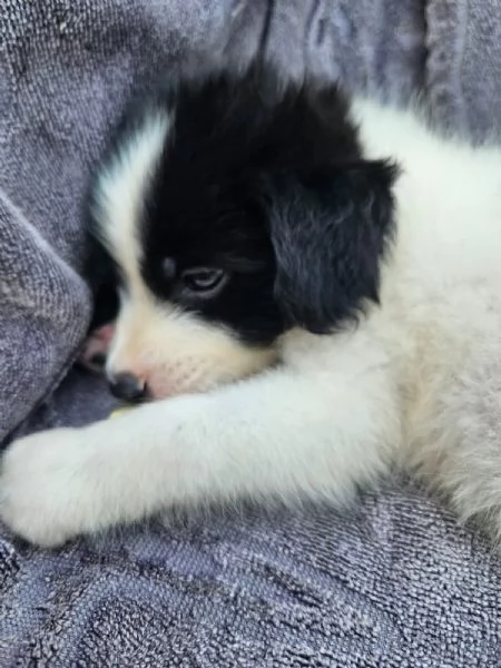 Luisa: 2 mesi taglia comtenuta | Foto 1