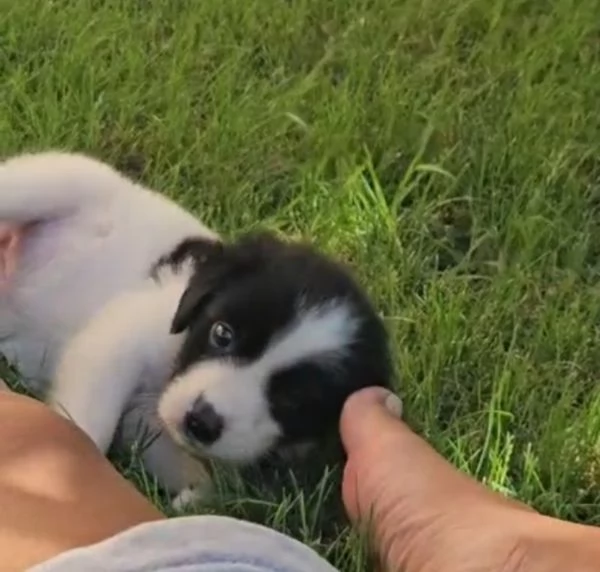 Luisa: 2 mesi taglia comtenuta | Foto 0