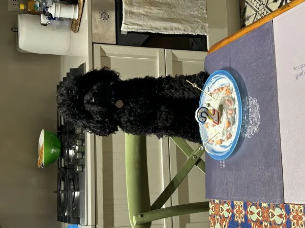 Accoppiamento  | Foto 0