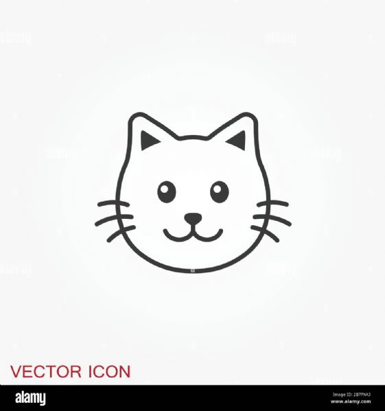 CERCO GATTINA CUCCIOLA