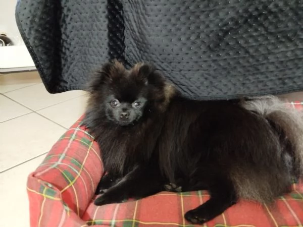 Mi presento sono Ettore 