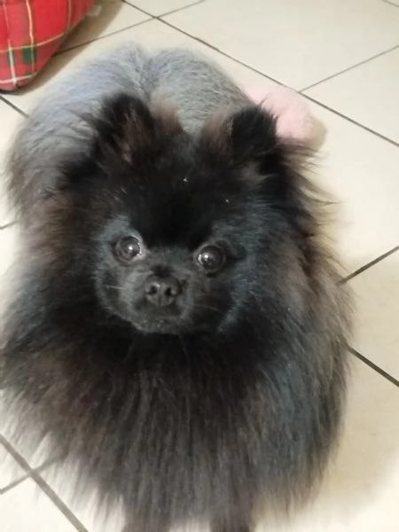 Mi presento sono Ettore 