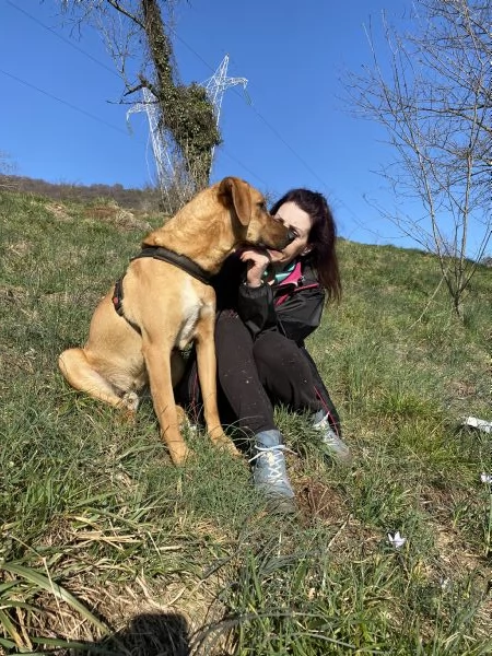 Dolce Andrew cerca coccole per sempre! | Foto 1