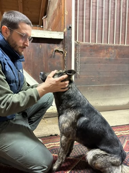 Lupina del Ventasso cerca casa! | Foto 1