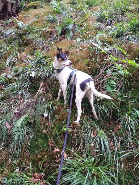 Regalo Bodeguero femmina 1 anno e 2 mesi