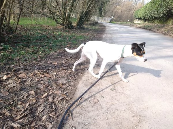 Regalo Bodeguero femmina 1 anno e 2 mesi | Foto 2