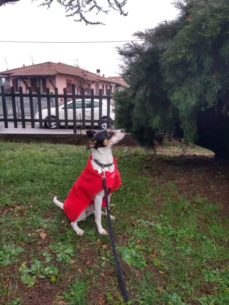 Regalo Bodeguero femmina 1 anno e 2 mesi | Foto 0
