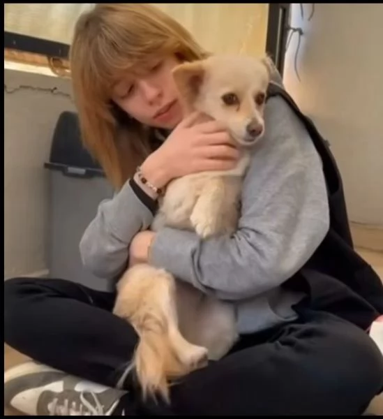 Vendita cuccioli | Foto 2