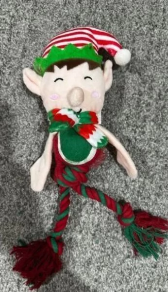 CUCCIOLI DI Maltese ALLEVATI CON AMORE per adozione | Foto 1