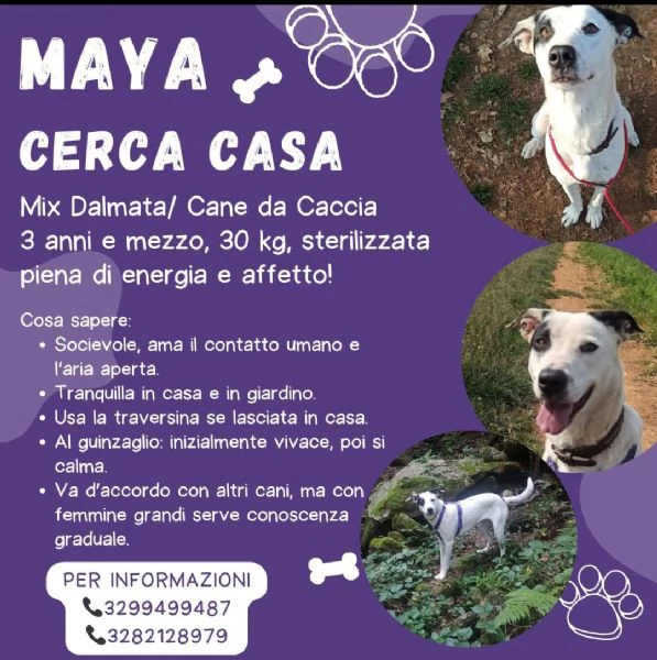 Maya cerca casa