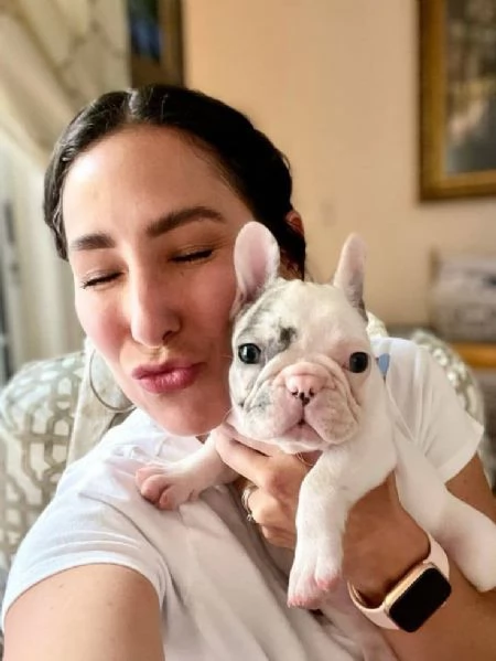 Cuccioli di bulldog francese per amanti dei bulldog francesi! | Foto 2