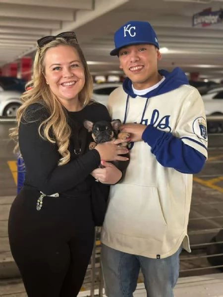 Bulldog francese gratuito - Cercasi casa amorevole (solo ritiro) | Foto 3