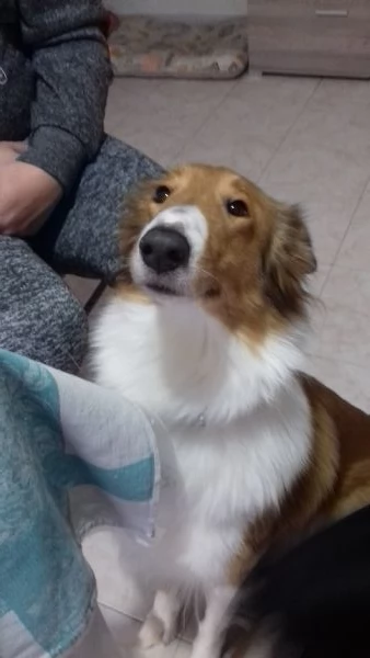 Luna cerca casa | Foto 0