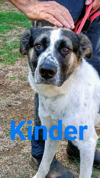 Aiutateci e se potete condividete al mondo grazie | Foto 6