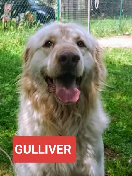 Aiutateci e se potete condividete al mondo grazie | Foto 5