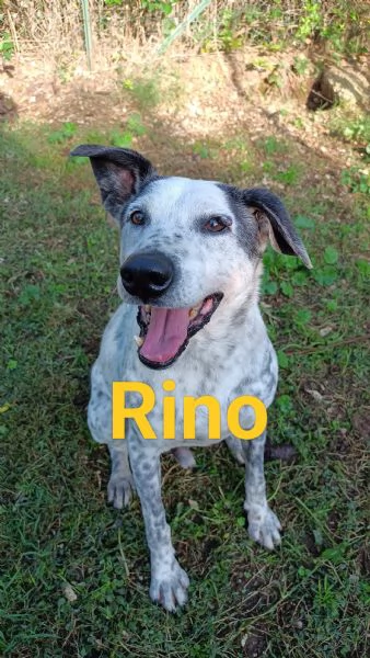 Aiutateci e se potete condividete al mondo grazie | Foto 3