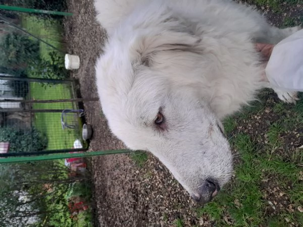 Aiutateci e se potete condividete al mondo grazie | Foto 2