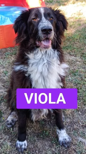 Aiutateci e se potete condividete al mondo grazie | Foto 1