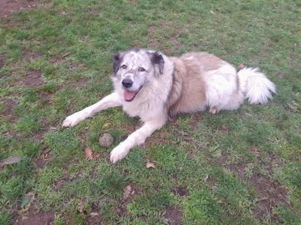 Aiutateci e se potete condividete al mondo grazie | Foto 0