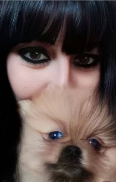 Cuccioli di Spitz di Pomerania | Foto 5