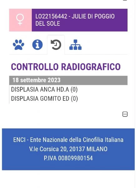 CUCCIOLI DI PASTORE TEDESCO - Nero Focato - Pelo Corto | Foto 4
