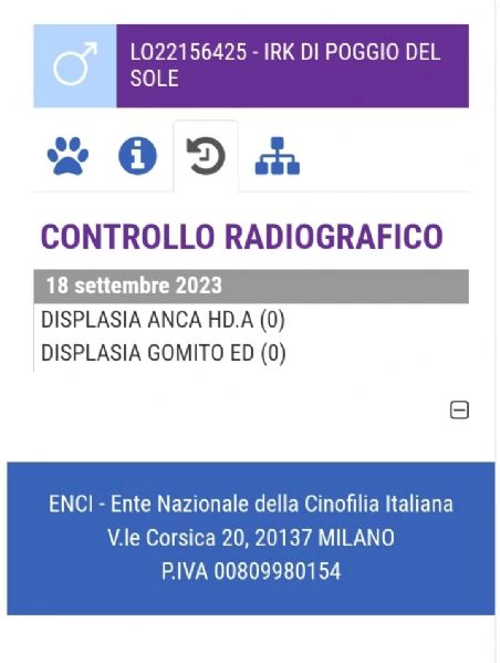 CUCCIOLI DI PASTORE TEDESCO - Nero Focato - Pelo Corto | Foto 0