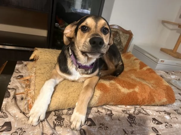 2 fratellini maschi  | Foto 2