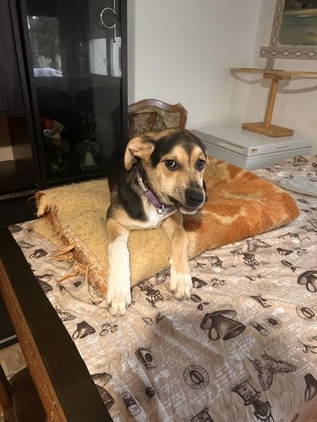 2 fratellini maschi  | Foto 1