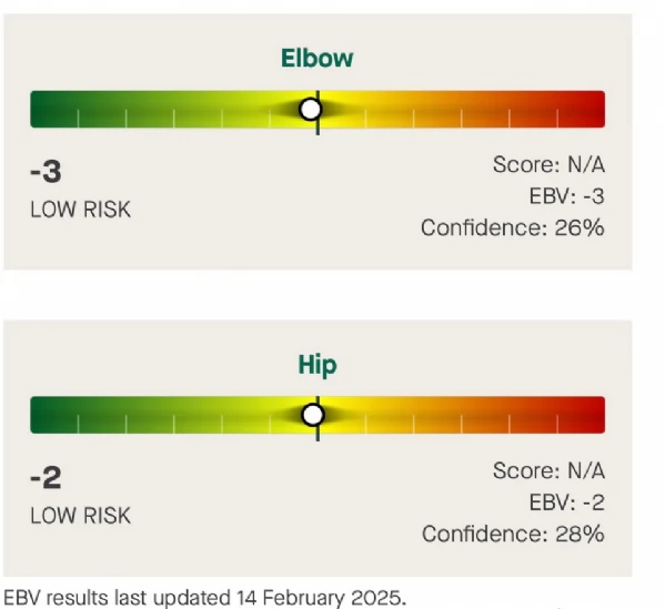 cuccioli di Rottweiler maschi e femmine per adozione | Foto 0