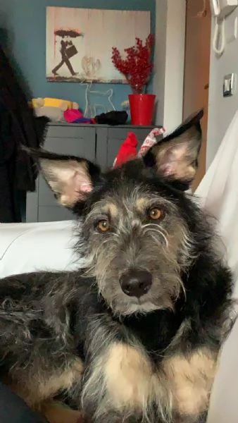 Kiki cerca Casa | Foto 6